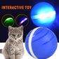 Pet Toy Ball Led Rolling Flash Ball