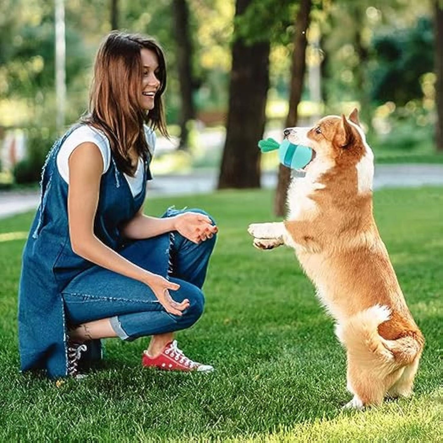 Interactive Treat Dispensing Dog Toys