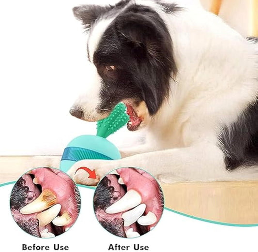 Interactive Treat Dispensing Dog Toys