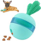 Interactive Treat Dispensing Dog Toys